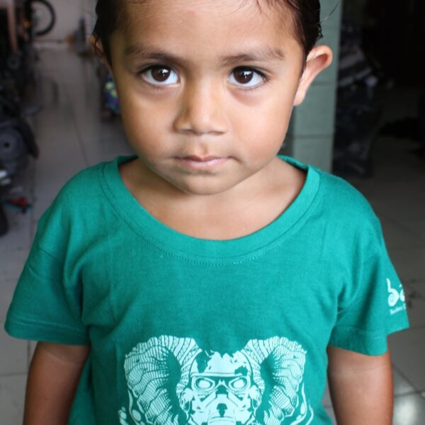 Elephunk Bamboo Tee Bamboo Tees for Kids by Baki Clothing Company